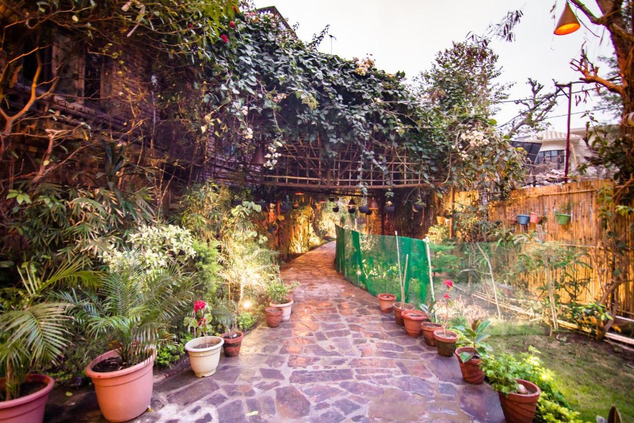 Divine Ganga Cottage Rišikéš Exteriér fotografie