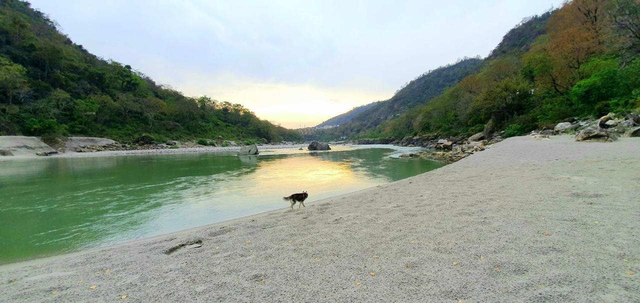 Divine Ganga Cottage Rišikéš Exteriér fotografie
